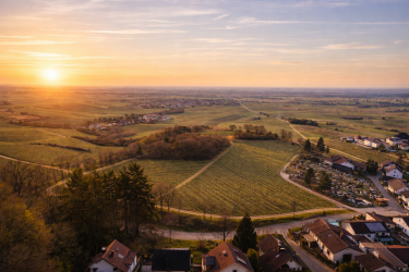 Hauptbild Filetstück in Burrweiler – 701 m² Baugrundstück mit spektakulärem Blick über die Weinberge