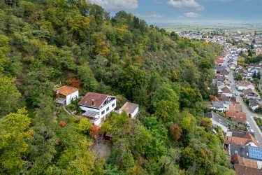 Hauptbild Einfamilienhaus in idyllischer Waldrandlage mit Panoramablick
